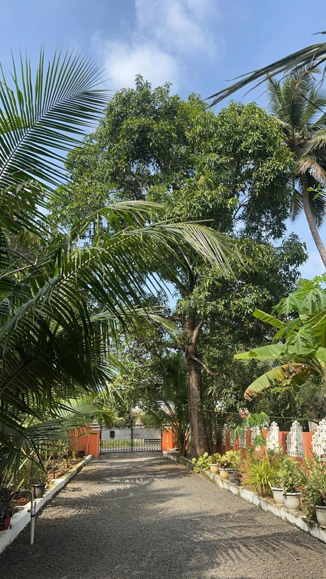 Prabhalayam Apartment Kottayam Luaran gambar